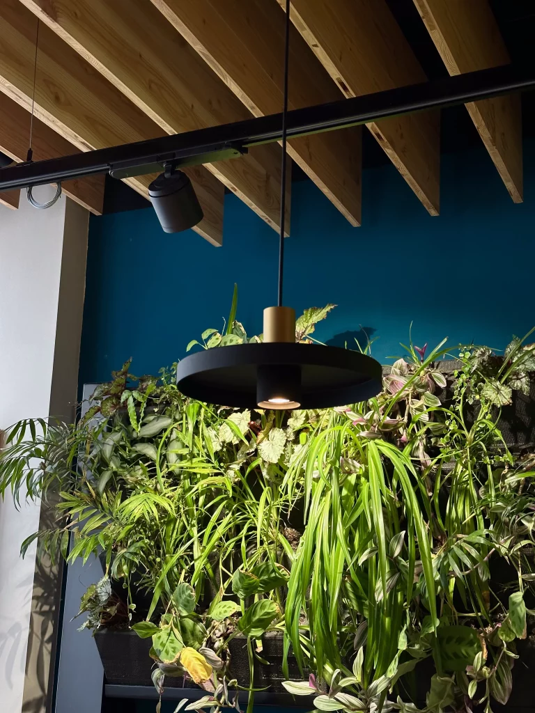 WeverDucre_Luminat_3 Ristorante Genève - Luminat - Wever et Ducré